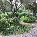 Domo A Palattu Casa Vista Mare A Porto Rotondo Prázdninový dům *