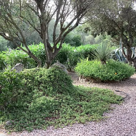 Domo A Palattu Casa Vista Mare A Porto Rotondo Feriehus *