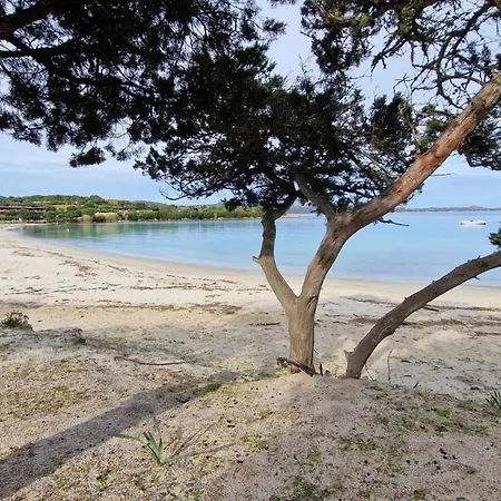 Holiday home Domo A Palattu Casa Vista Mare A Porto Rotondo
